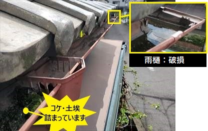 雨樋　詰まり　破損